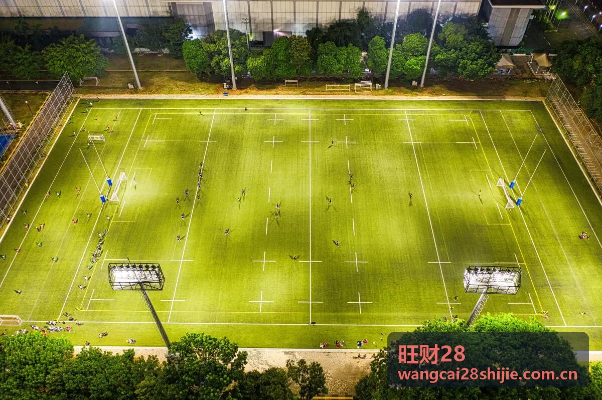 旺财28用户突破新里程碑