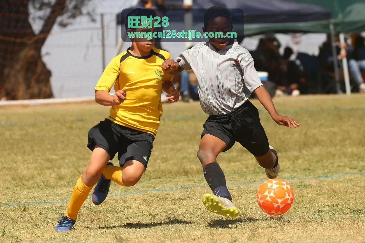 旺财28数据分析